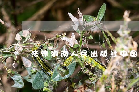 法律湖南人民出版社中国人事出版社