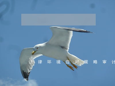 法律环境应对策略审计论文 法律环境应对策略审计论文