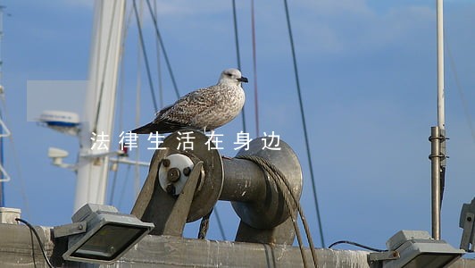 法律生活在身边 法律生活在身边