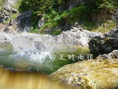 法律的及时雨很应景 法律的及时雨很应景