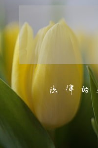 法律的处罚是什么呢