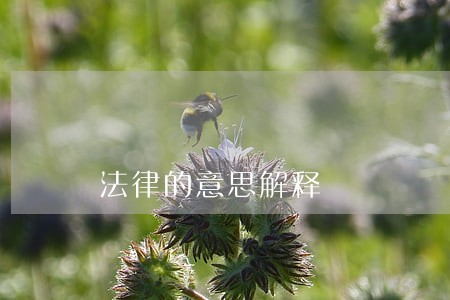 法律的意思解释 法律的意思解释