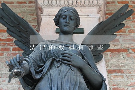 法律的权利有哪些