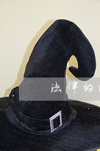 法律的济学分析 法律的济学分析
