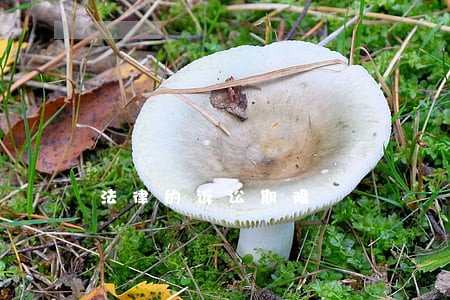 法律的诉讼期限 法律的诉讼期限