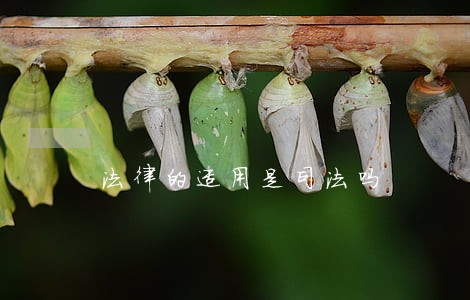 法律的适用是司法吗