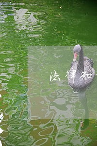 法律知识与企业知识产权沙龙 法律知识与企业知识产权沙龙