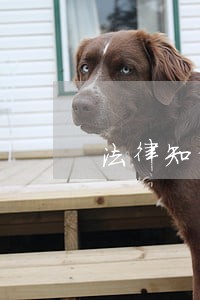 法律知识为内容 法律知识为内容