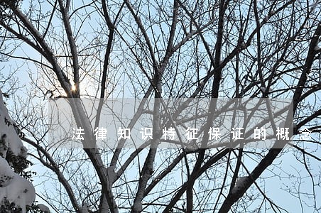 法律知识特征保证的概念和 法律知识特征保证的概念和