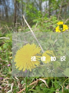法律知识竞赛观后感80 法律知识竞赛观后感80