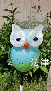法律硕士毕业的我 法律硕士毕业的我