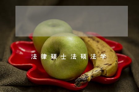 法律硕士法硕法学 法律硕士法硕法学