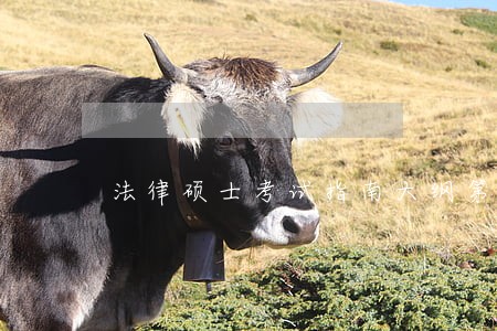 法律硕士考试指南大纲第21版 法律硕士考试指南大纲第21版