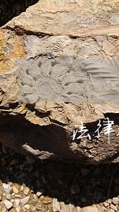 法律硕士辅导之运走部分赃物后 法律硕士辅导之运走部分赃物后
