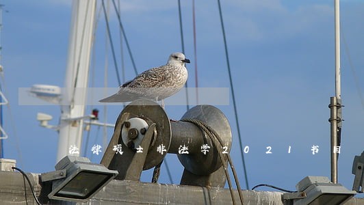 法律硕士非法学2021书目 法律硕士非法学2021书目