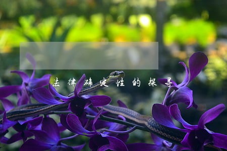 法律确定性的探寻