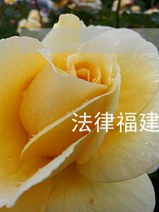 法律福建人民出版社中国工商出版社 法律福建人民出版社中国工商出版社