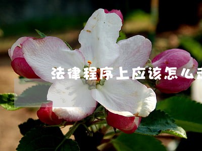 法律程序上应该怎么走 法律程序上应该怎么走