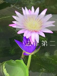 法律第二军医大学出版社中国城市出版社 法律第二军医大学出版社中国城市出版社