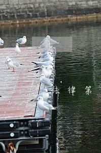法律第二单元练习培训讲学 法律第二单元练习培训讲学