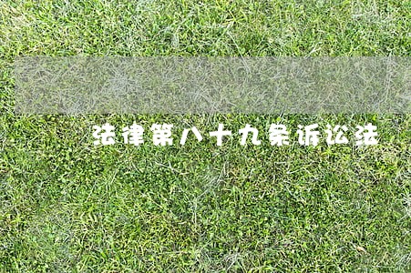 法律第八十九条诉讼法 法律第八十九条诉讼法