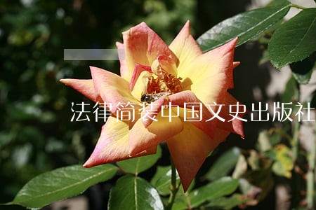 法律简装中国文史出版社 法律简装中国文史出版社