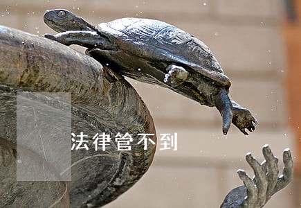 法律管不到