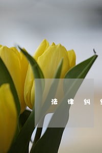 法律纠纷逾期支付利息核算 法律纠纷逾期支付利息核算