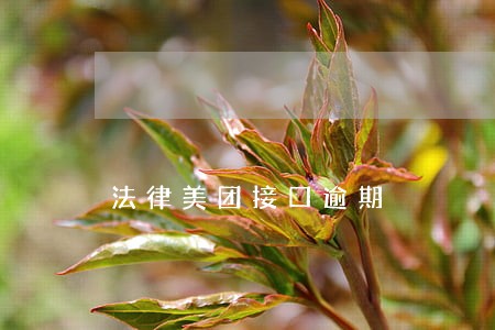 法律美团接口逾期 法律美团接口逾期