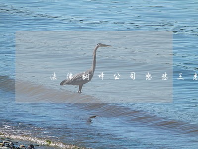 法律翻译公司怒怼王志安 法律翻译公司怒怼王志安