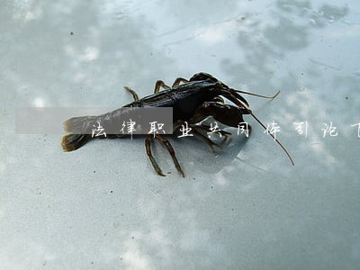 法律职业共同体引论下载 法律职业共同体引论下载