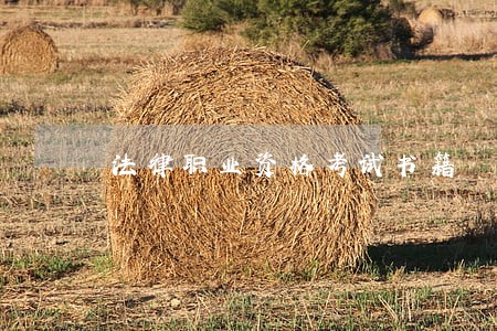 法律职业资格考试书籍 法律职业资格考试书籍