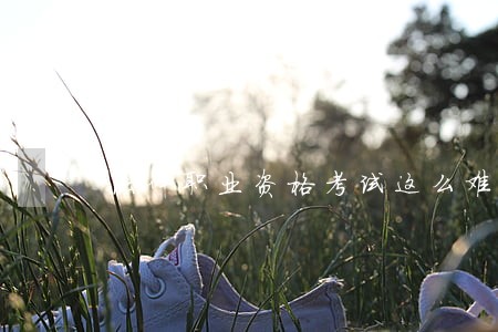 法律职业资格考试这么难
