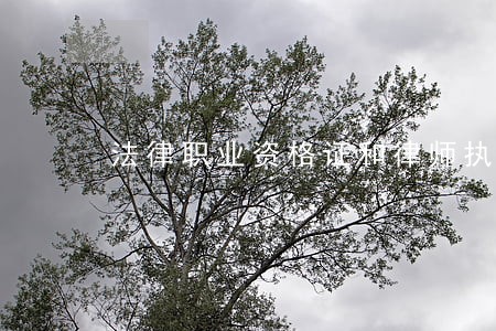 法律职业资格证和律师执业证 法律职业资格证和律师执业证