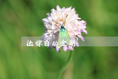 法律自动逾期 法律自动逾期