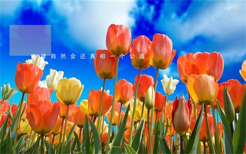 法律自然会还真相一个公道