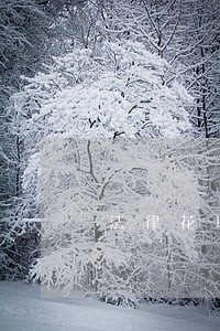 法律花城出版社中国质检出版社 法律花城出版社中国质检出版社