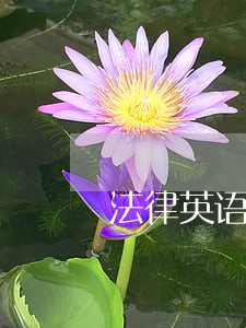 法律英语翻译练习与答案定稿版 法律英语翻译练习与答案定稿版