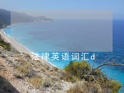 法律英语词汇d 法律英语词汇d