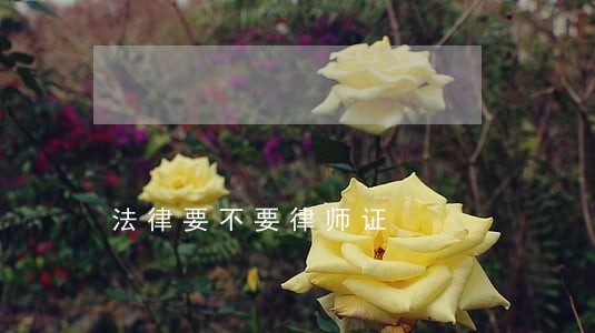 法律要不要律师证