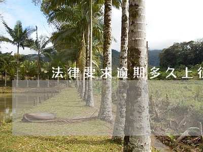 法律要求逾期多久上征信 法律要求逾期多久上征信