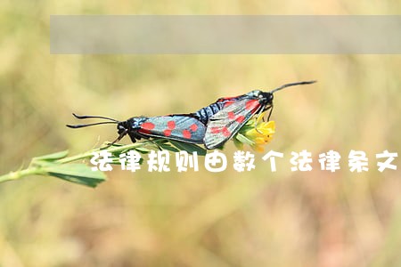 法律规则由数个法律条文表述