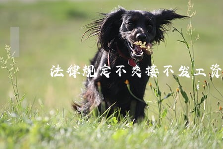 法律规定不交接不发工资 法律规定不交接不发工资