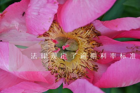 法律规定了逾期利率标准 法律规定了逾期利率标准