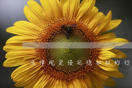 法律规定侵犯隐私权的行为有哪些 法律规定侵犯隐私权的行为有哪些