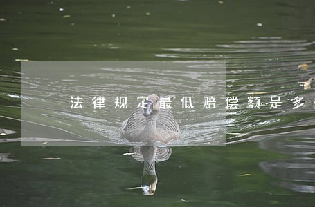 法律规定最低赔偿额是多少 法律规定最低赔偿额是多少