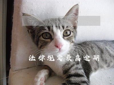 法律规定最高逾期 法律规定最高逾期