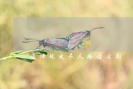 法律规定杀人赔偿逾期 法律规定杀人赔偿逾期