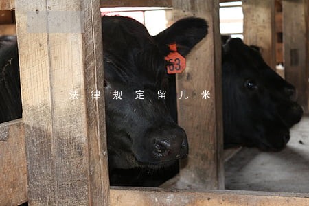 法律规定留几米 法律规定留几米