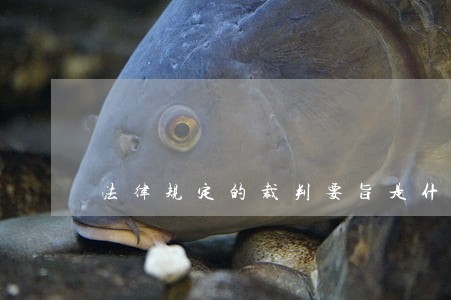 法律规定的裁判要旨是什么意思 法律规定的裁判要旨是什么意思